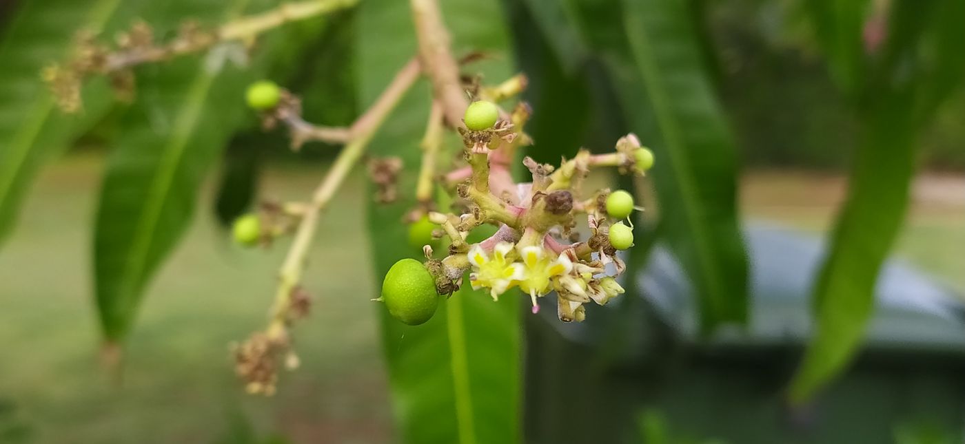 麻花影视关于我们 · 影视影片资讯平台